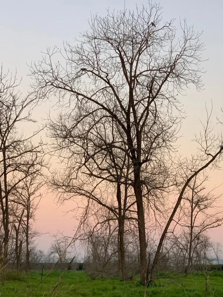 The Governance Gap: Why Your Healthcare AI Needs an Operating System, Not Just a Checklist