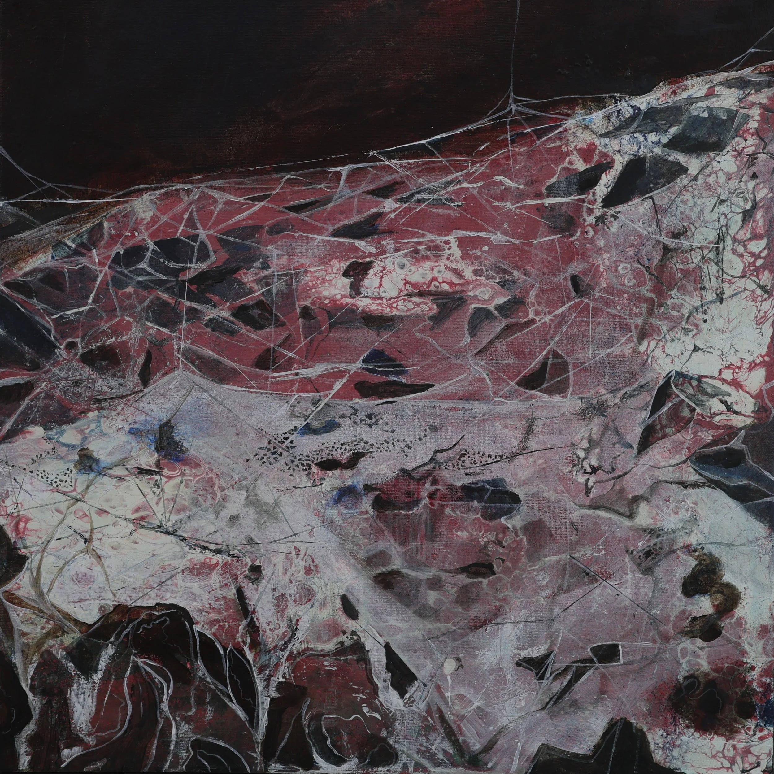 Orb Web,
Acrylic on Canvas, 50 x 50 cm