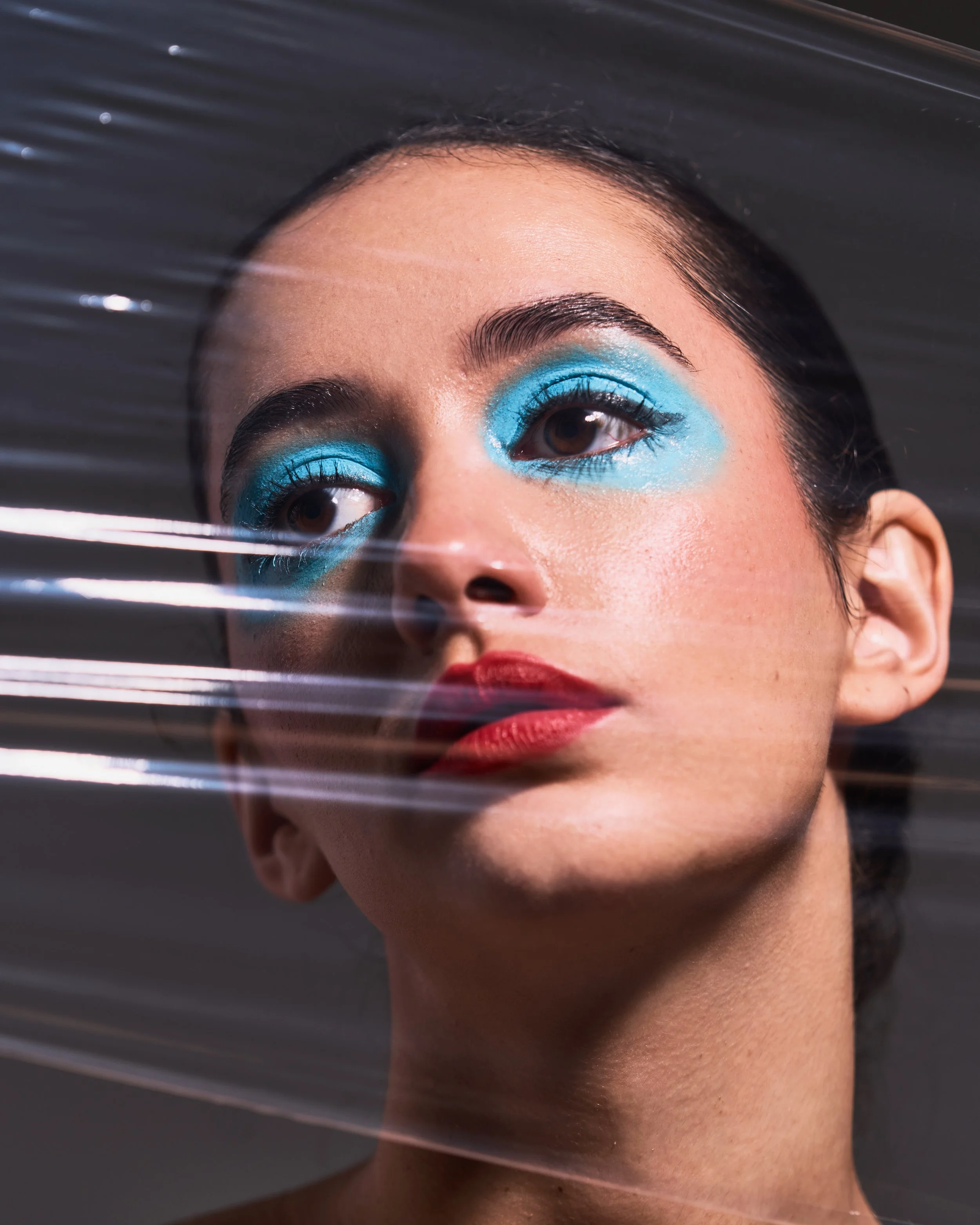 "Echoes of Plastic Beauty"