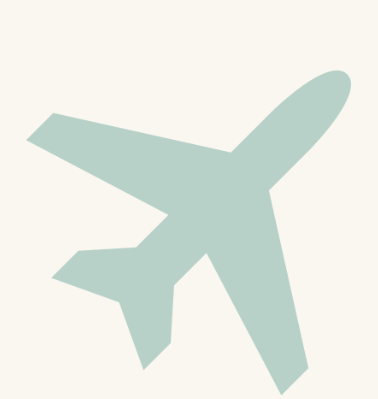 Silhouette of an airplane in light blue against a white background.