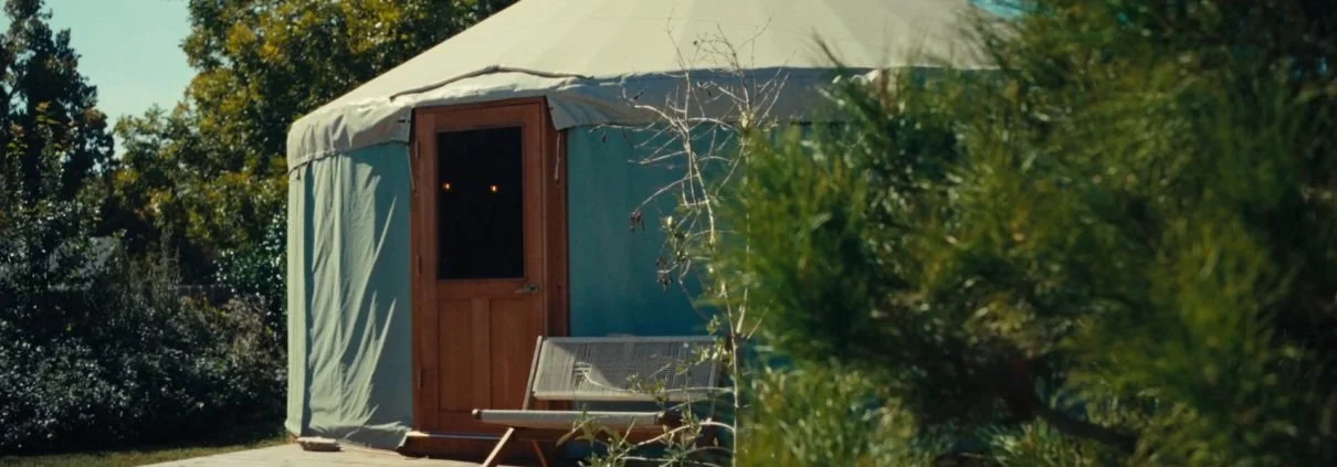 Welcome to Ascent Insights