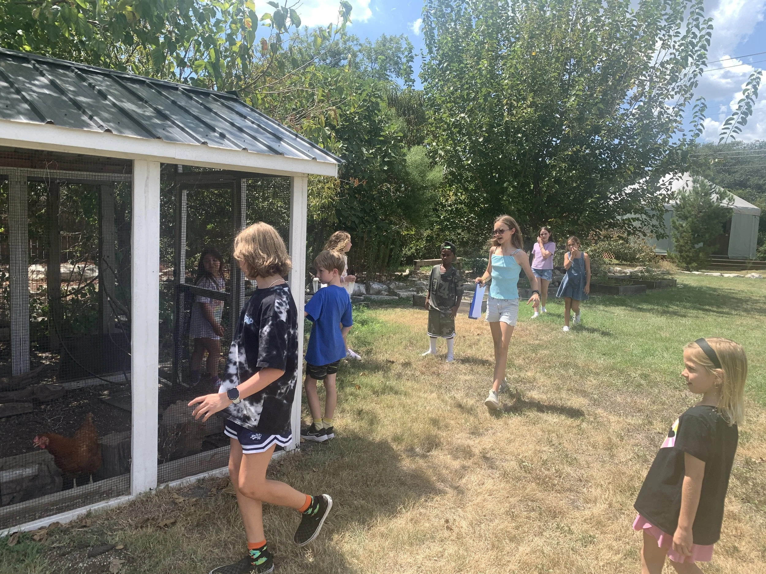 Explore: Y8, S1, W1