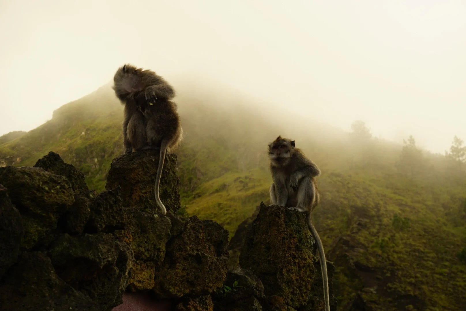 De harde waarheid over Bali 2026: Waarom wachten de duurste beleggingsstrategie is.