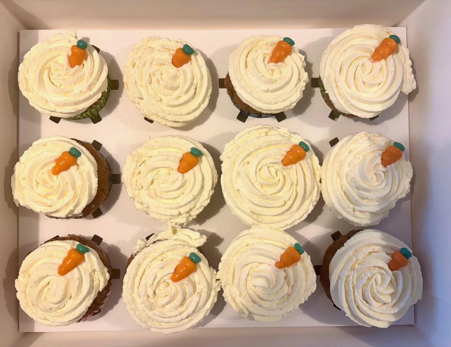 59C57D3D-85CE-44B7-9778-1B0FCF9F6417 2.jpeg (Copy)