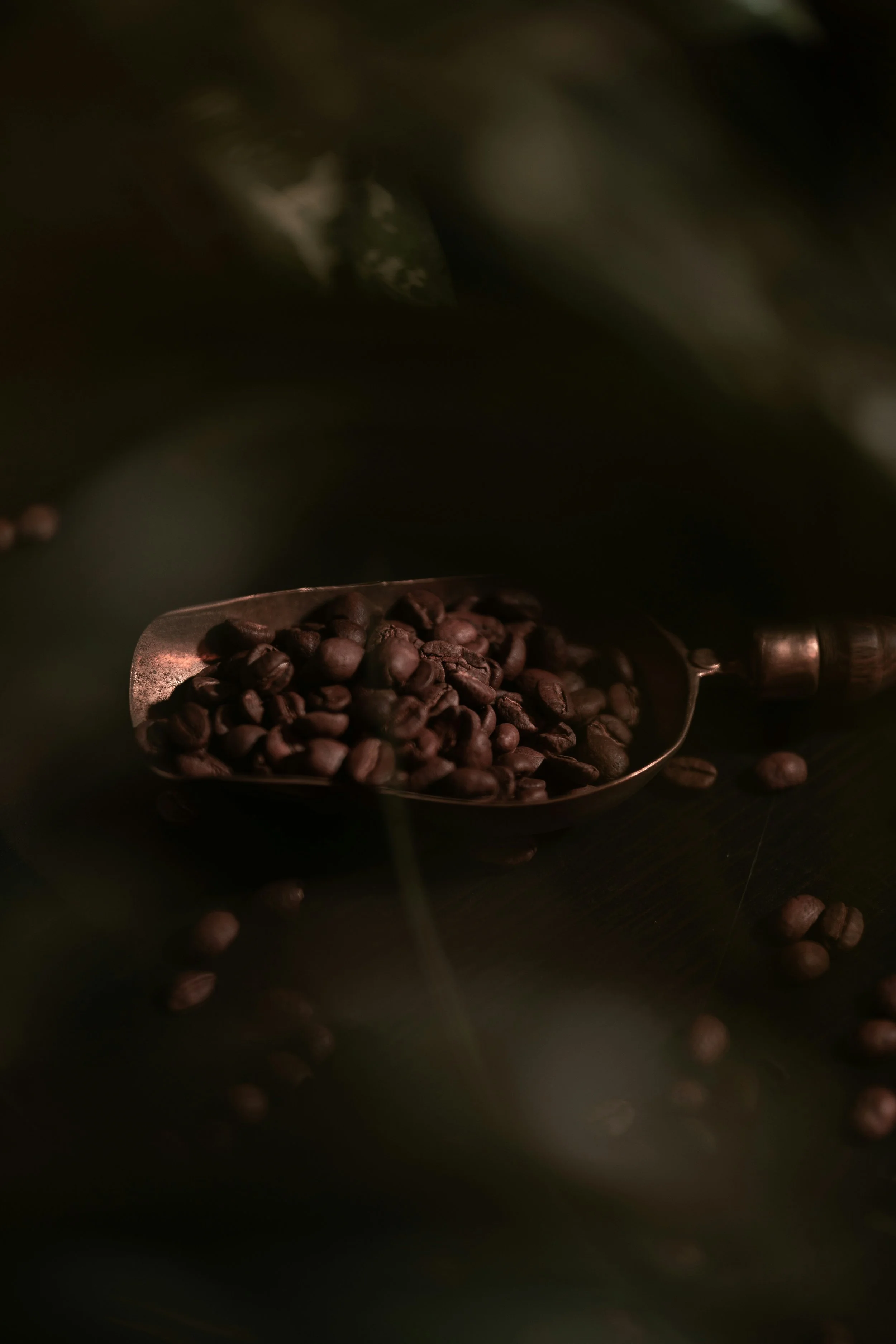 A metal scoop filled with roasted coffee beans on a dark surface, with some beans scattered around.