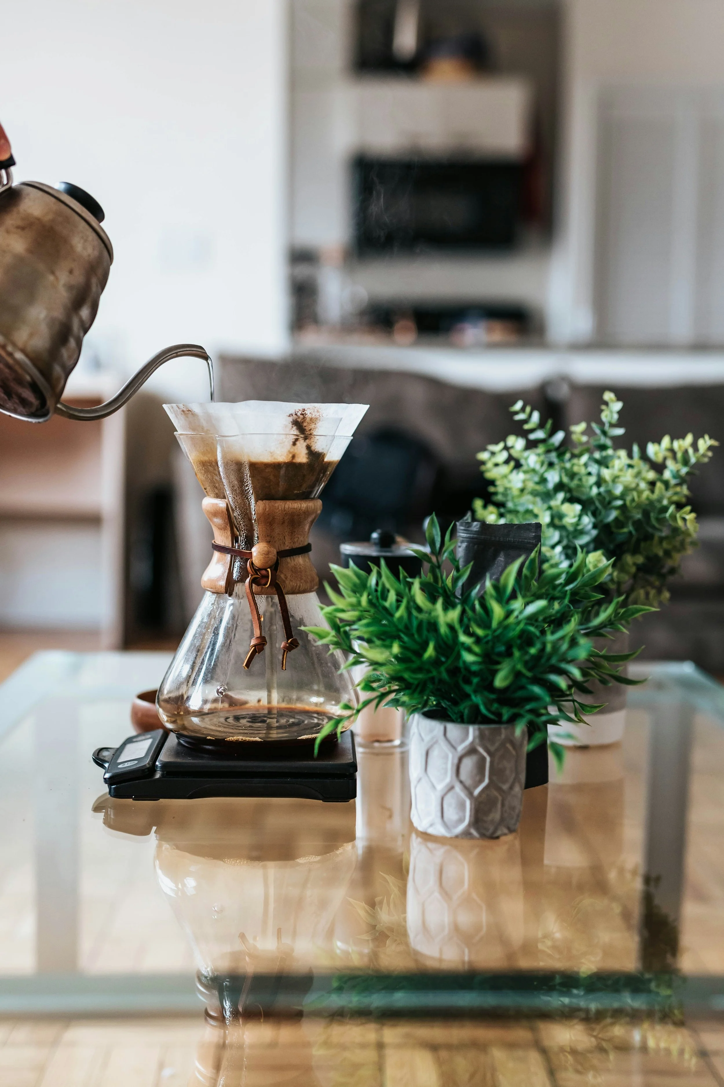 A pour-over coffee maker on a kitchen table with green potted plants, a scale, and a kitchen background.