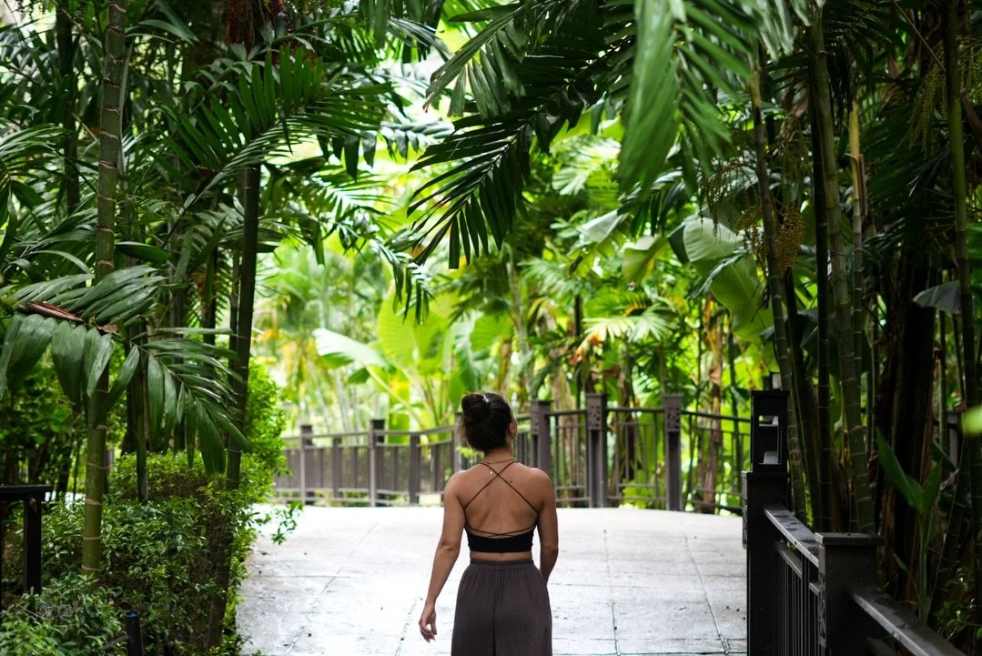 Postcards from Thailand 🇹🇭✨

#thailandtravel #thailandtrip