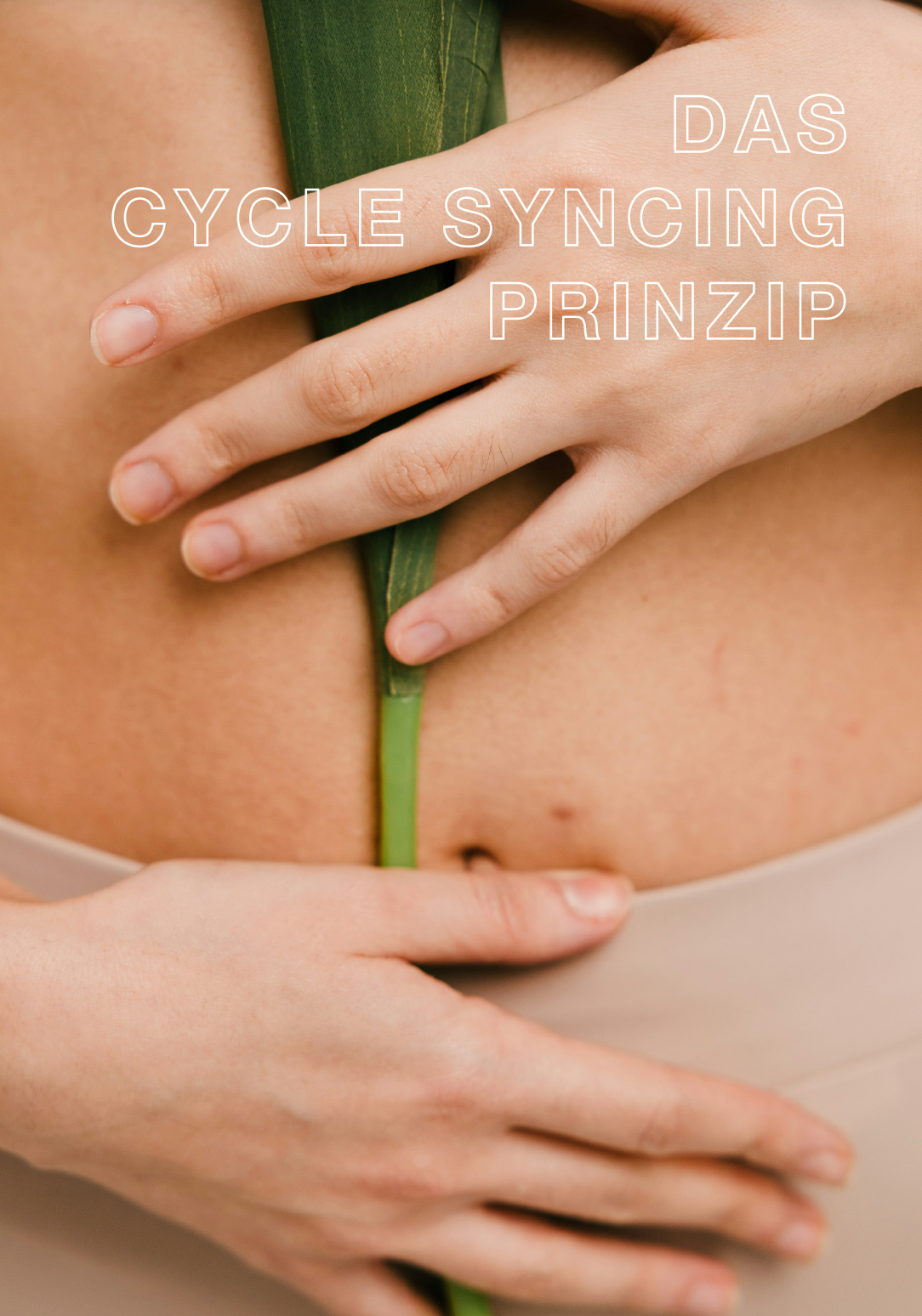 Bildschirmfoto 2026-03-08 um 17.38.12.png