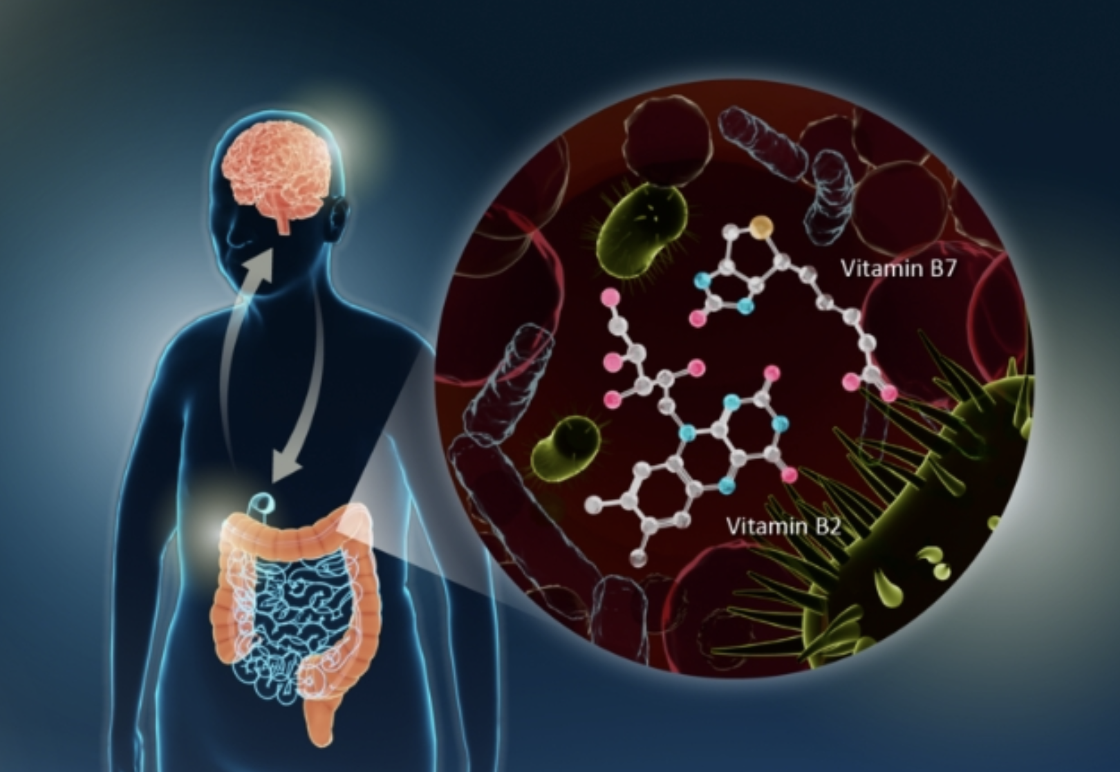 Early Clues to Parkinson’s in the Gut Microbiome