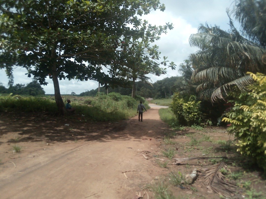 WhatsApp Image 2026-01-13 at 19.20.43.jpeg