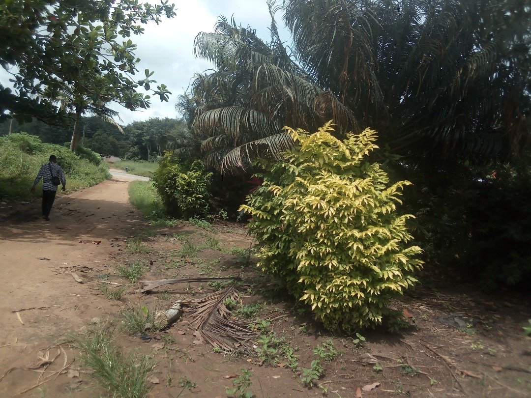 WhatsApp Image 2026-01-13 at 19.20.42.jpeg