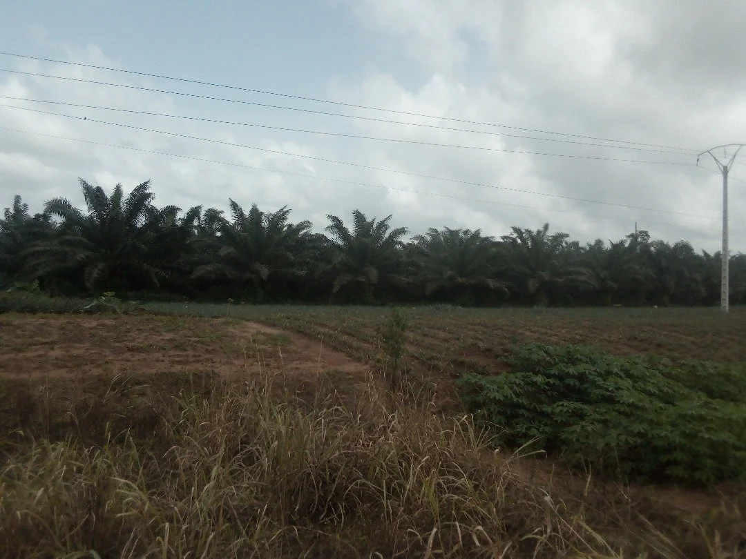 WhatsApp Image 2026-01-13 at 19.20.38.jpeg