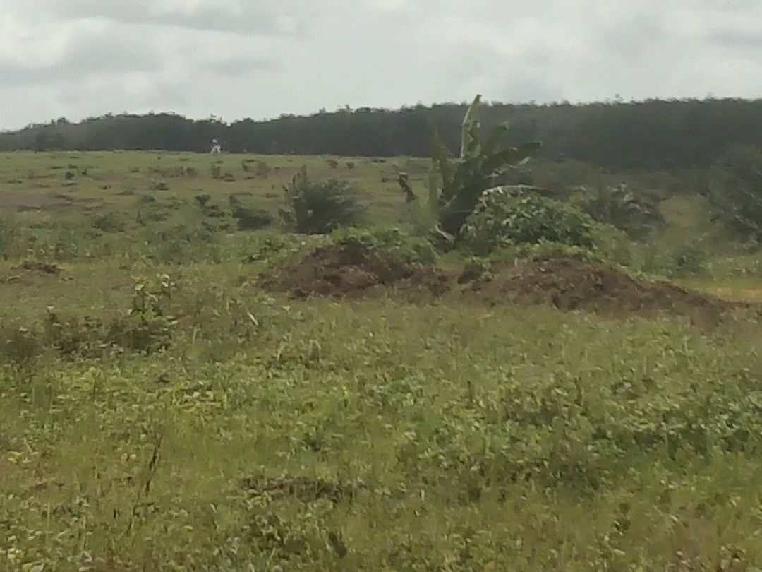 WhatsApp Image 2026-01-13 at 19.00.36.jpeg