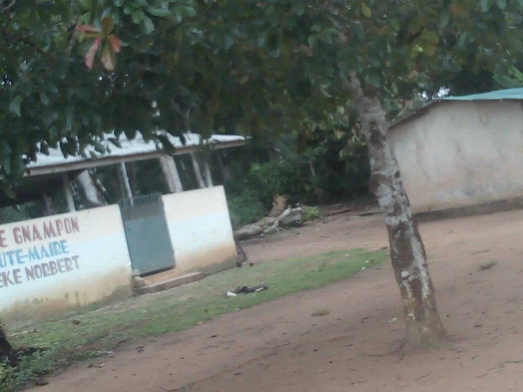 WhatsApp Image 2026-01-13 at 19.20.41.jpeg