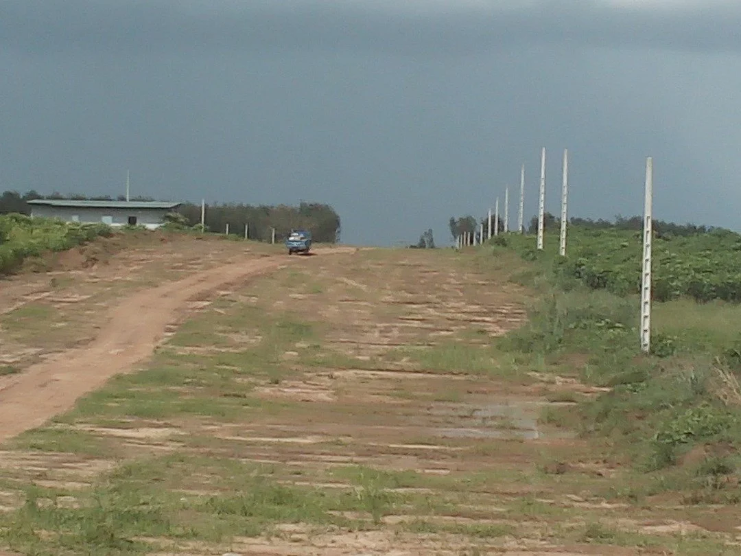 WhatsApp Image 2026-01-13 at 19.20.49.jpeg