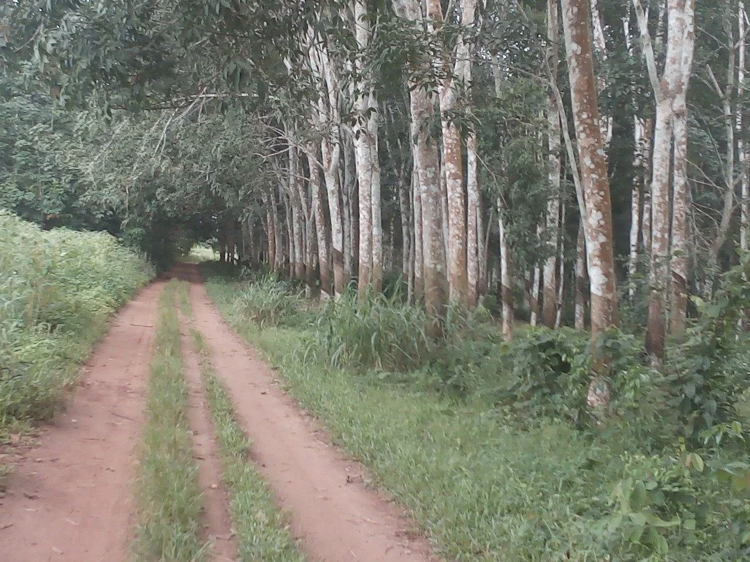 WhatsApp Image 2026-01-13 at 19.20.48.jpeg