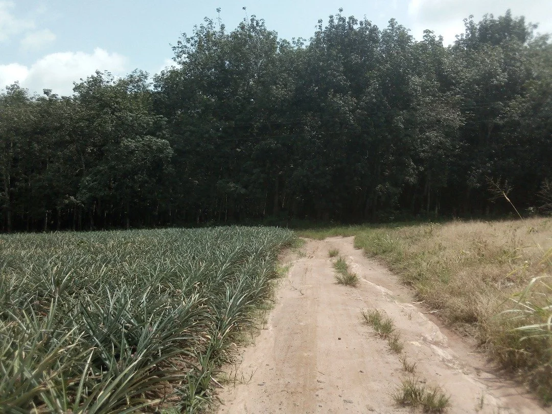 WhatsApp Image 2026-01-13 at 19.20.44.jpeg