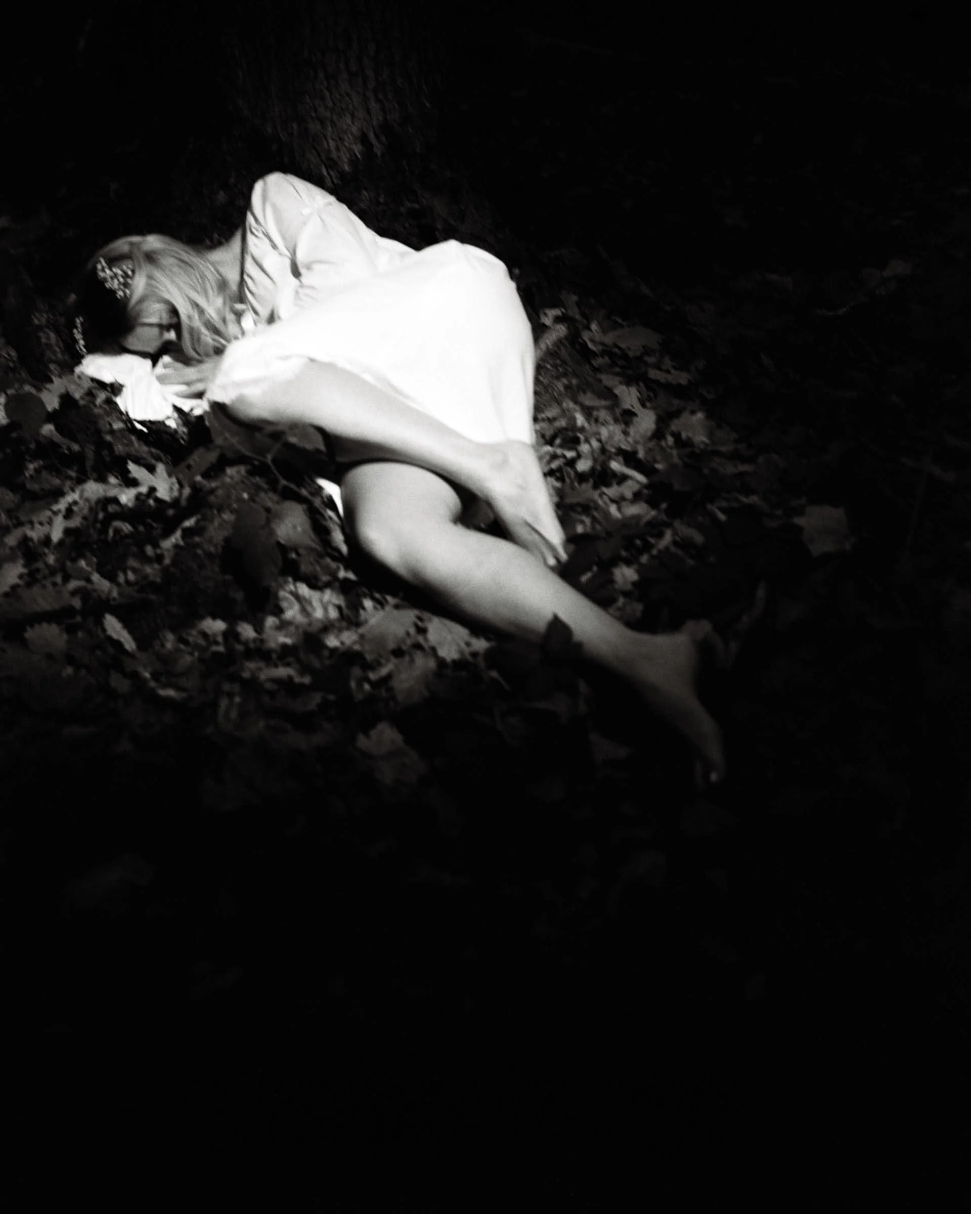 Light Fall, from Roots of Absence, 2025    
70×104.4 cm