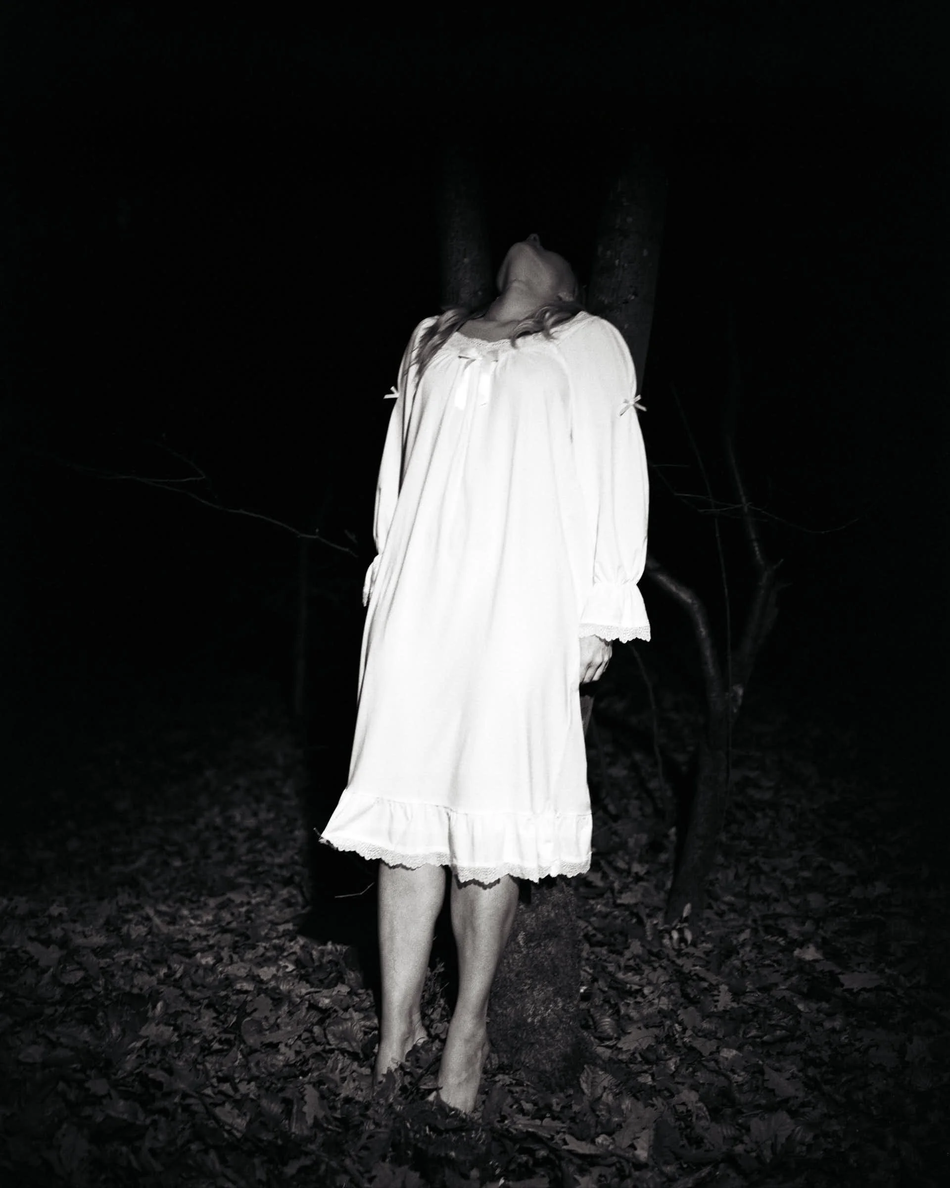 Resilient Line, from Roots of Absence, 2025      
      70×104.4 cm