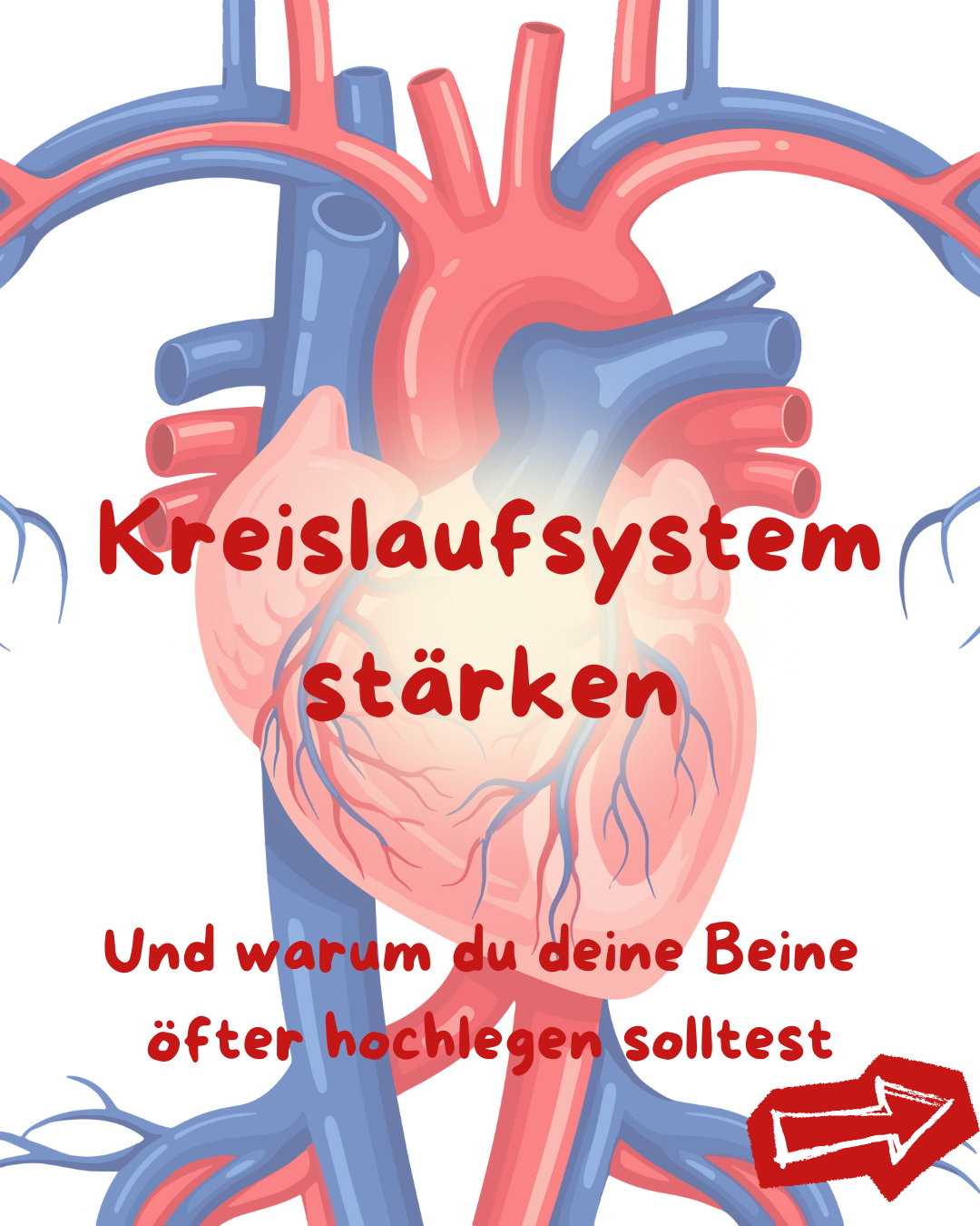🩸 Kreislaufsystem stärken