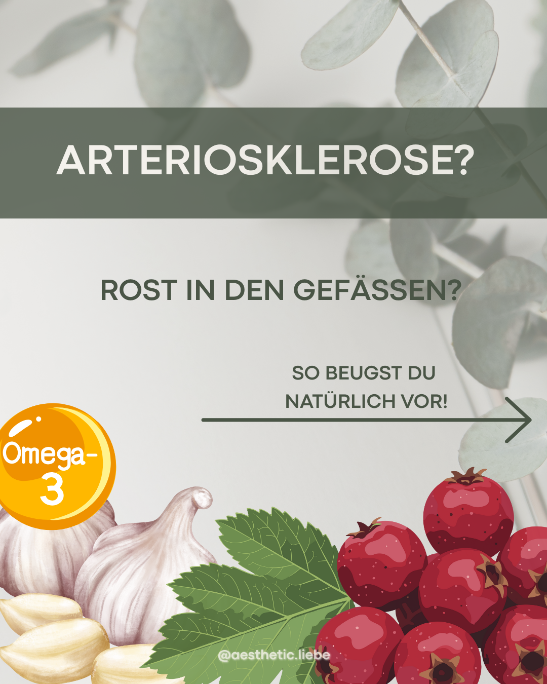 Rost in den Gefäßen? Warum Arteriosklerose uns alle angeht – und wie uns die Natur hilft