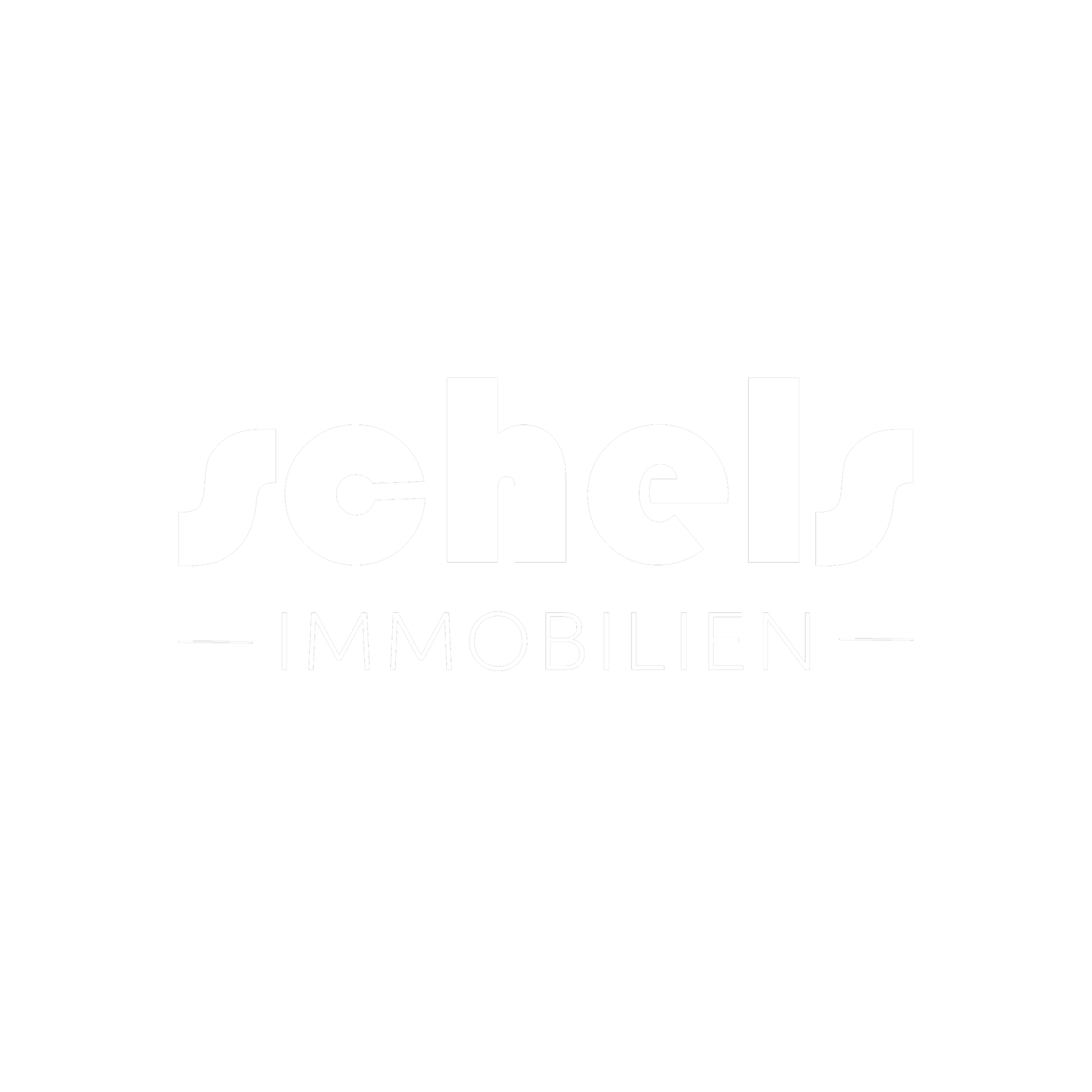 Logo für Schels Immobilien mit weißem Schriftzug auf schwarzem Hintergrund.