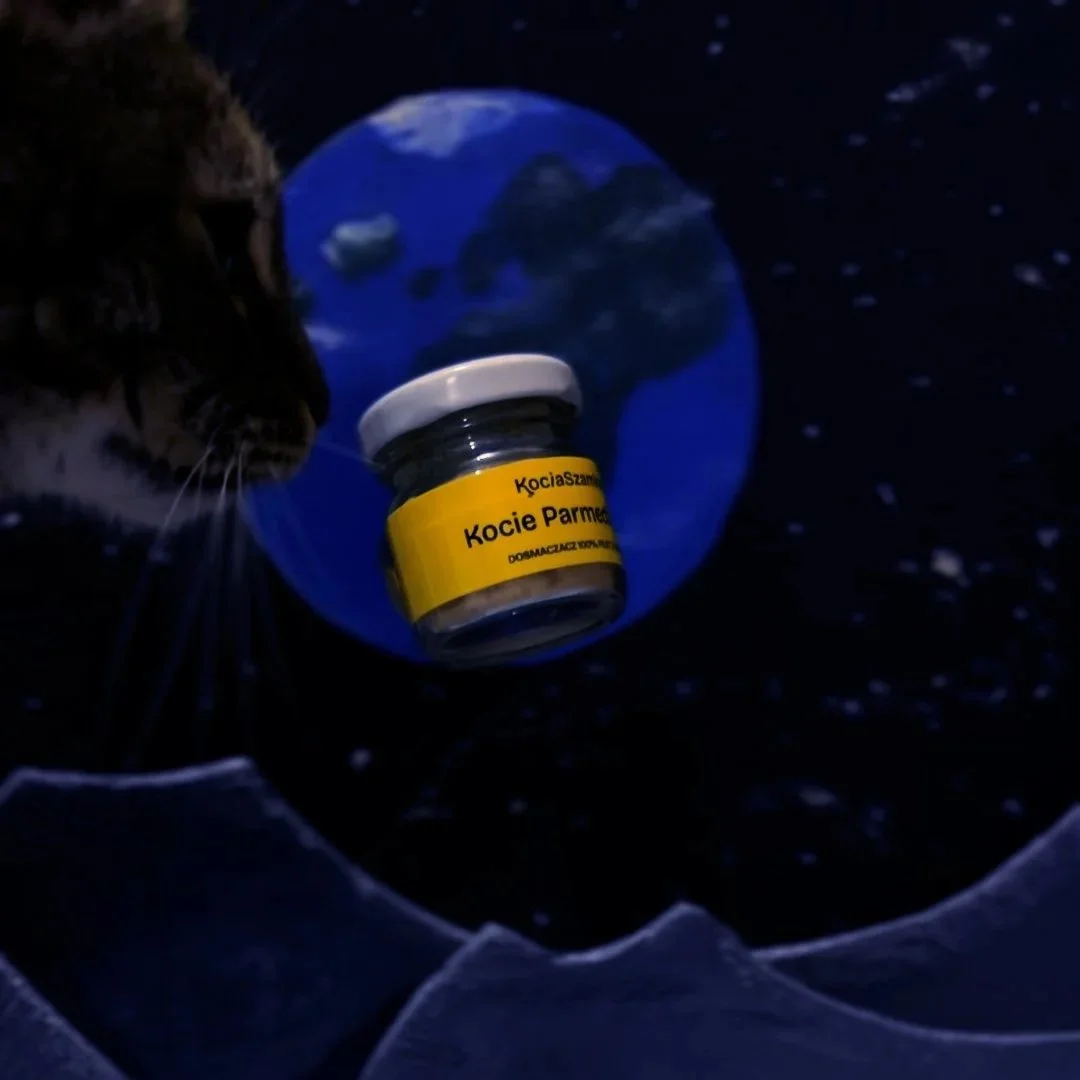 "Taste out of this world" for Kocia Szamka