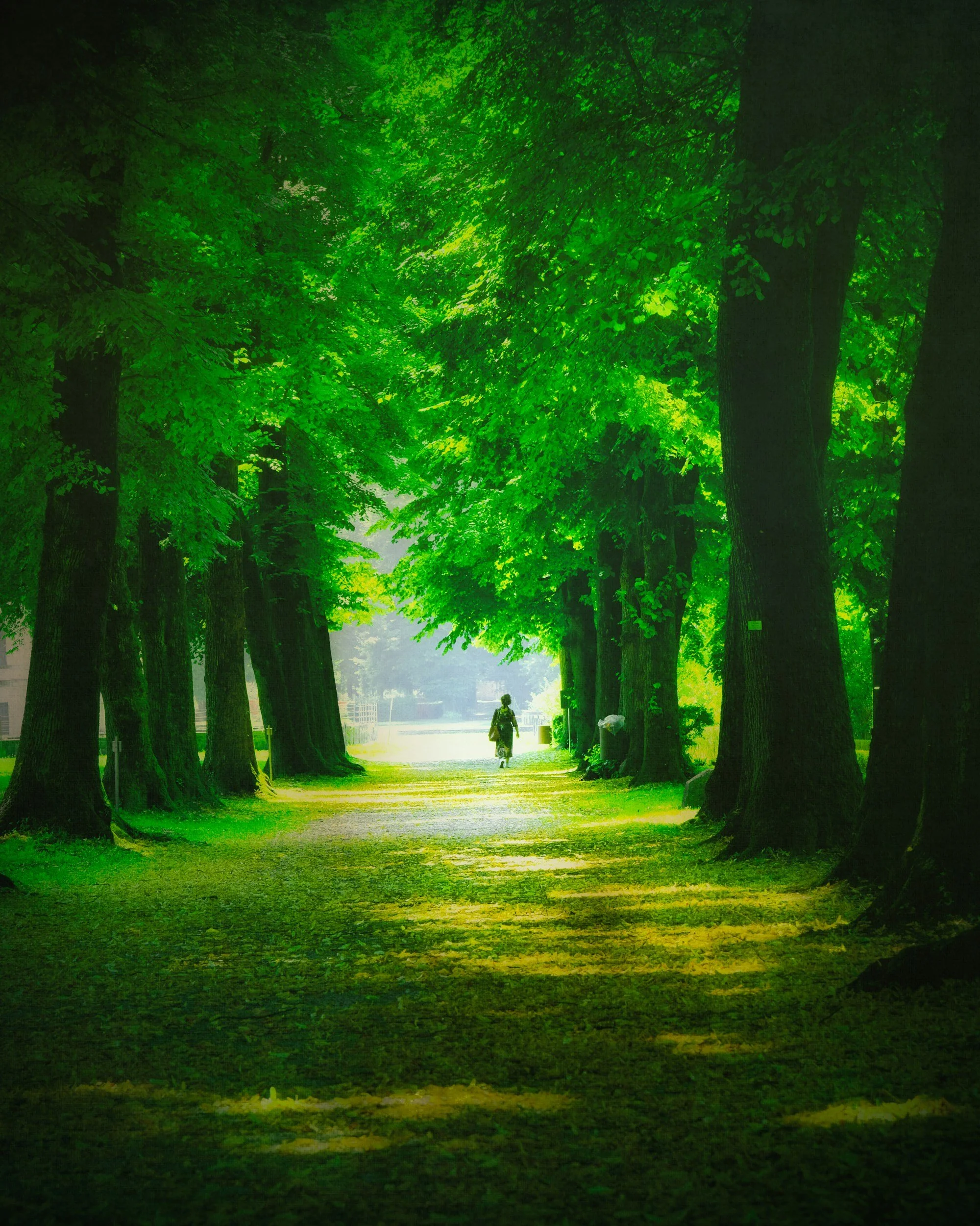 Online therapy is just like starting a journey