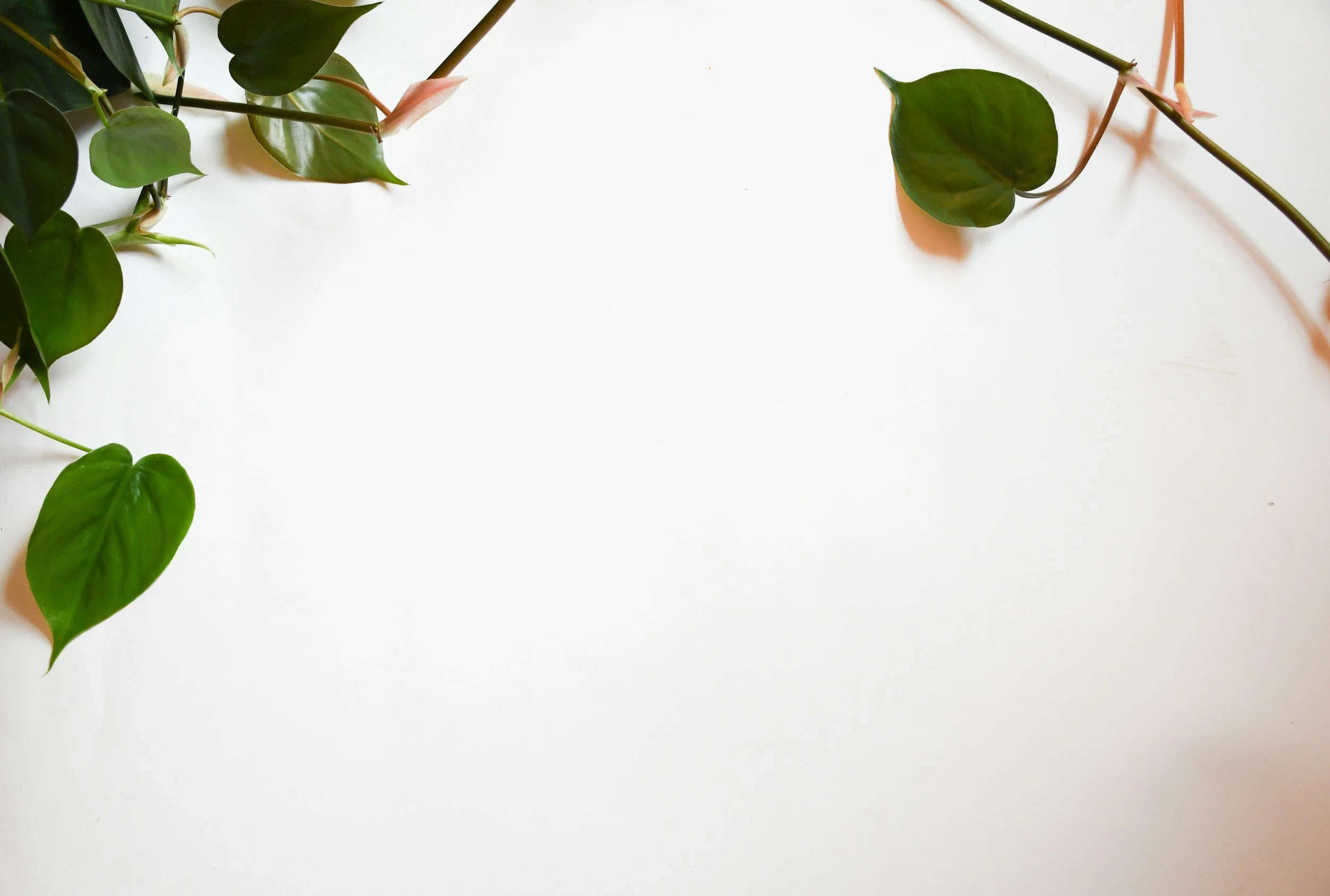 Innerstead Therapy_Black Muslim Therapist