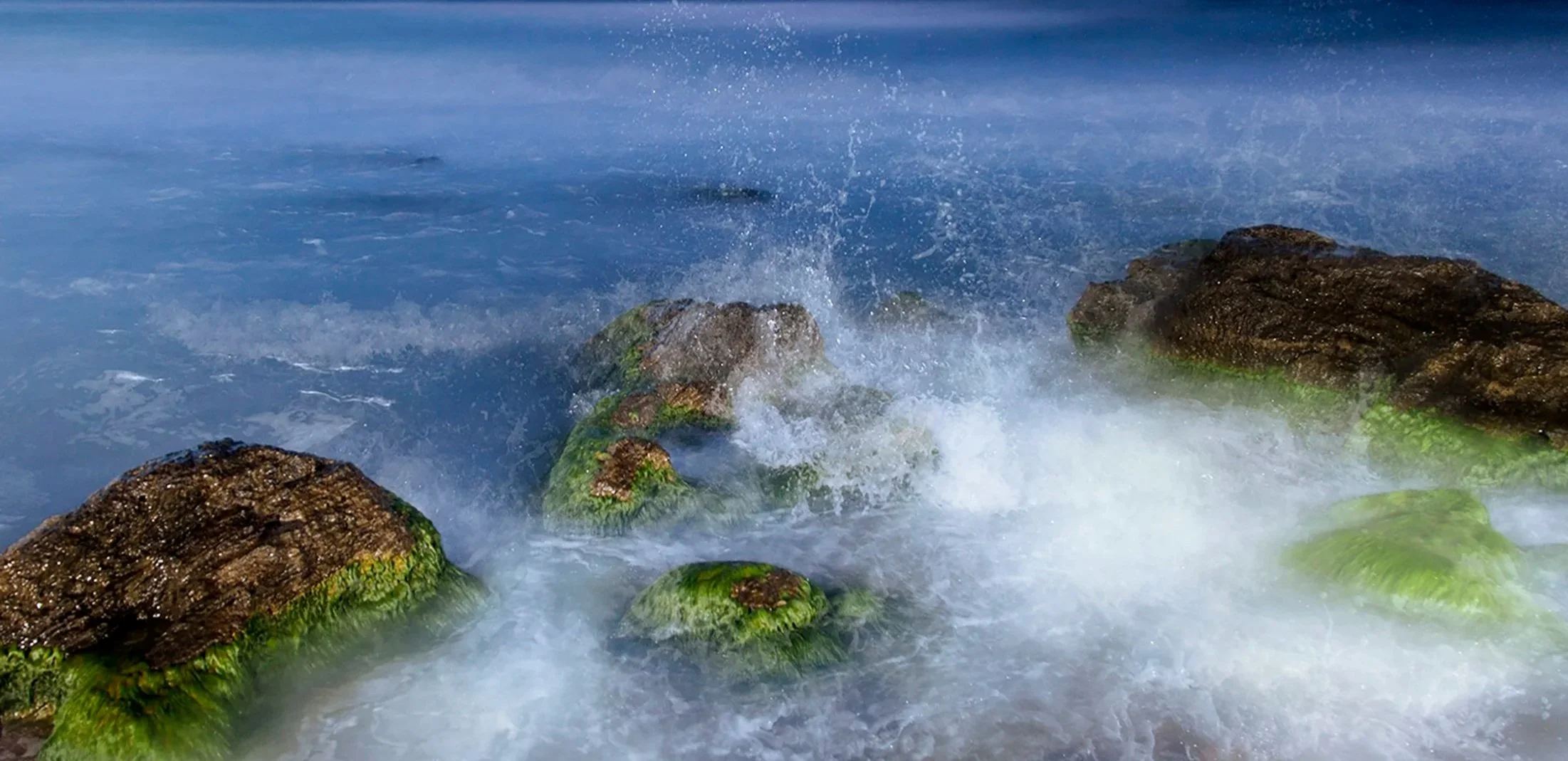 THE SCREAM OF WAVES