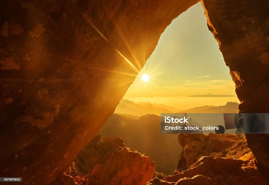 The Biology of Beginning phase: What we learn in the first 30 days