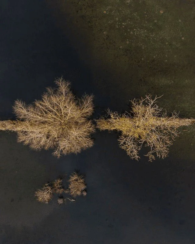 Extensive flooding around Oxford created this opportunity: normally mundane fields of grass can be transformed into an organic abstract landscape using a drone.

#Oxford #drone #landscape #dronescape #flooding #organic #dji #wytham 

DJI Mini Pro 4