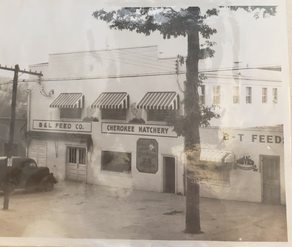Old black-and-white photograph of a storefront with signs for B&L Feed Co. and Cherokee Hatchery, featuring awnings above the windows, a tree in front, a vintage truck parked on the left, and utility poles with power lines.