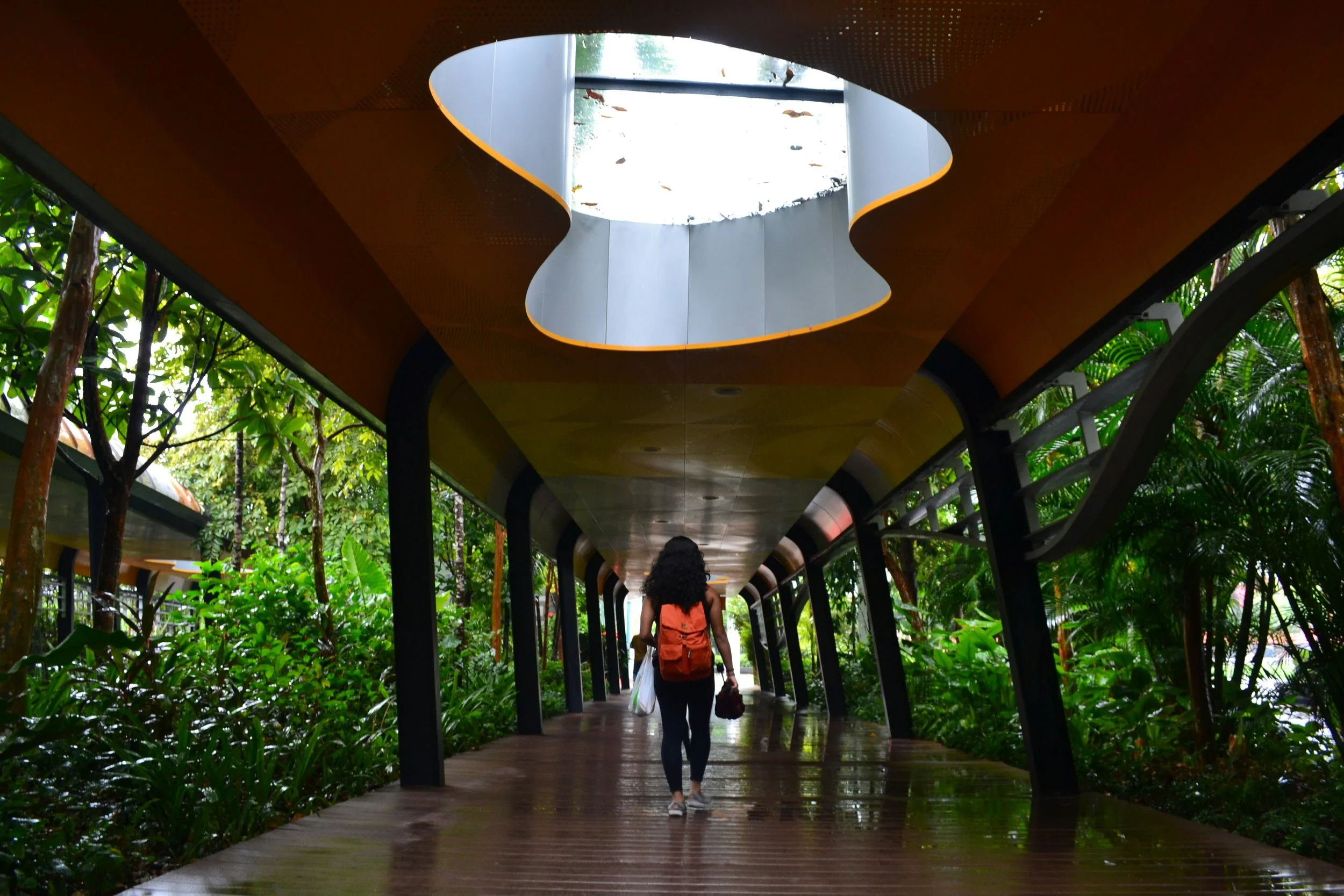 Top 10 Singapore Travel Tips: Hawker Food, Strict Laws, and Saving Money