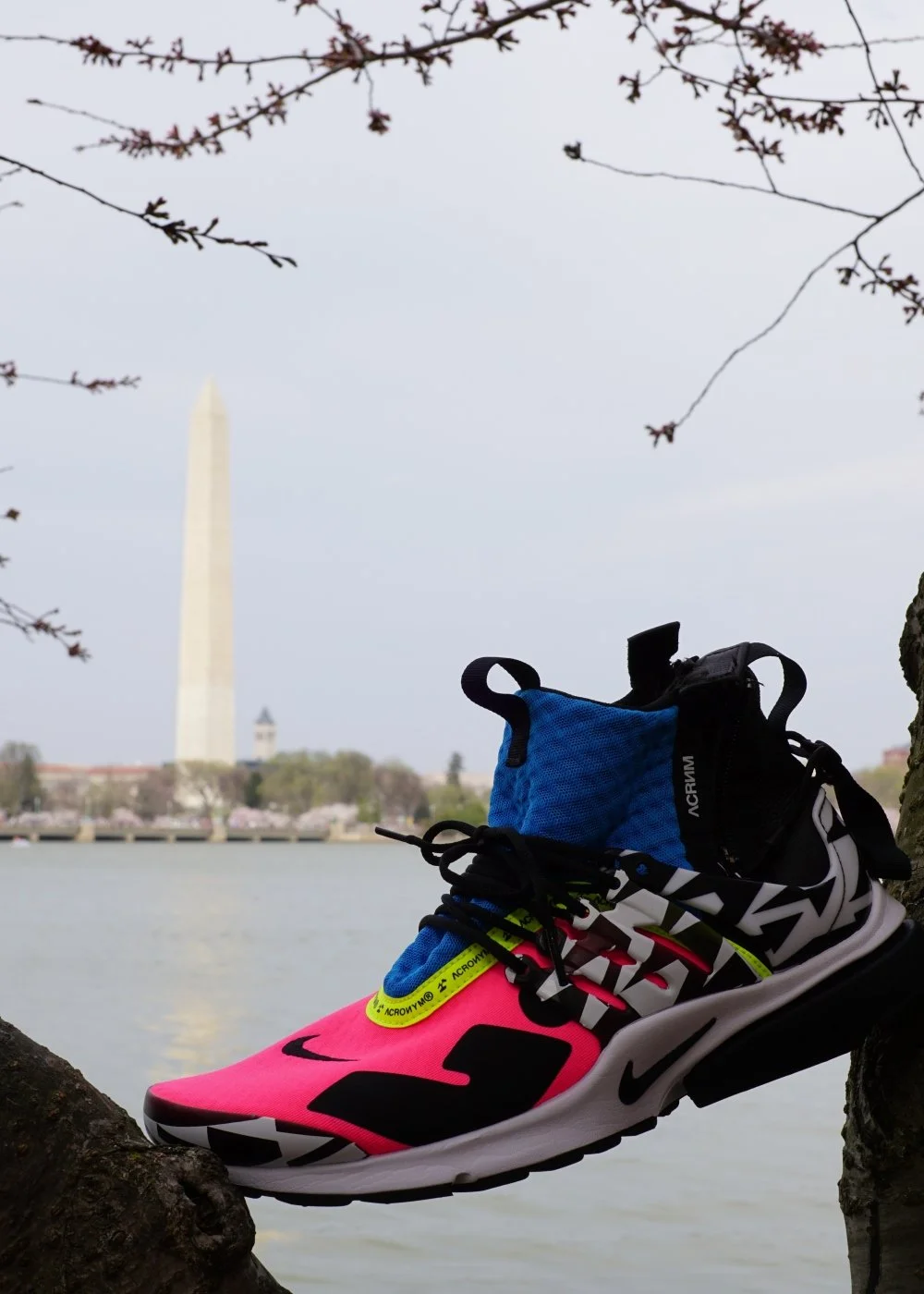 Washington Monument & Tidal Basin