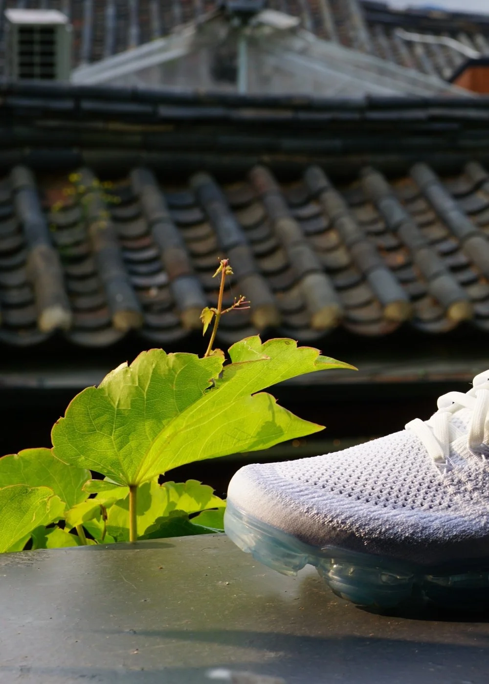 Rooftop view from Ssamziegil