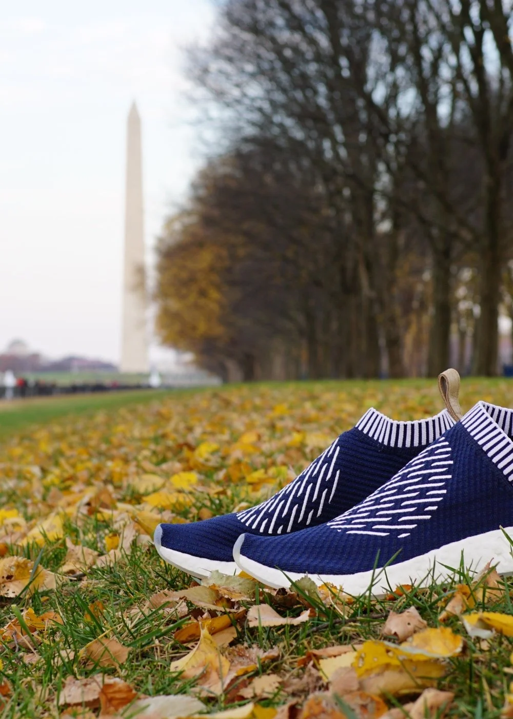 by the Reflecting Pool