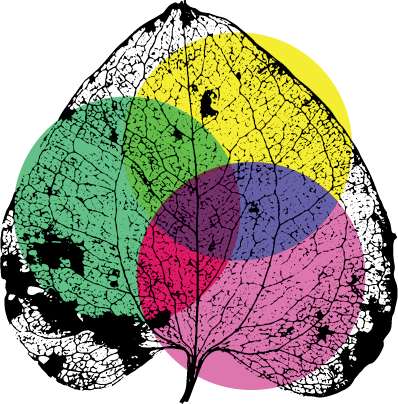 Yasmeen Theatre Wellbeing