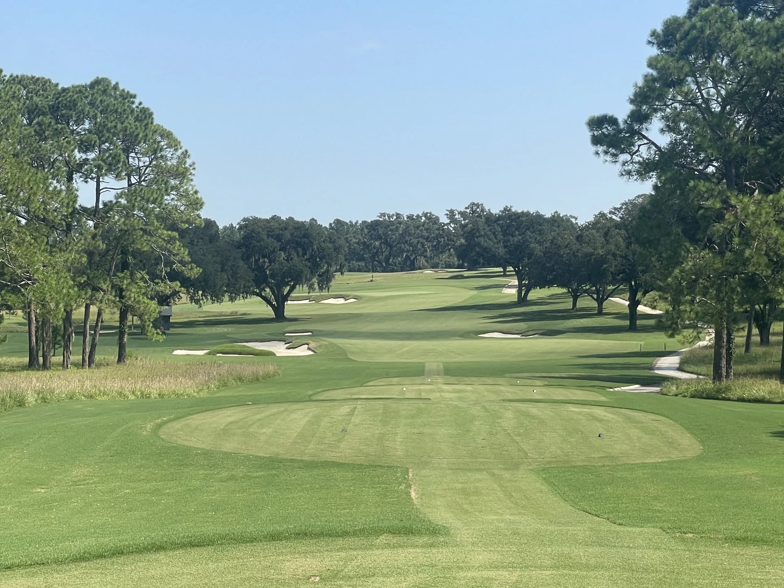 Seminole Legacy: Tallahassee, Florida