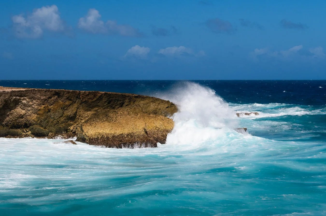 Caribbean_Jan_26-11.jpg
