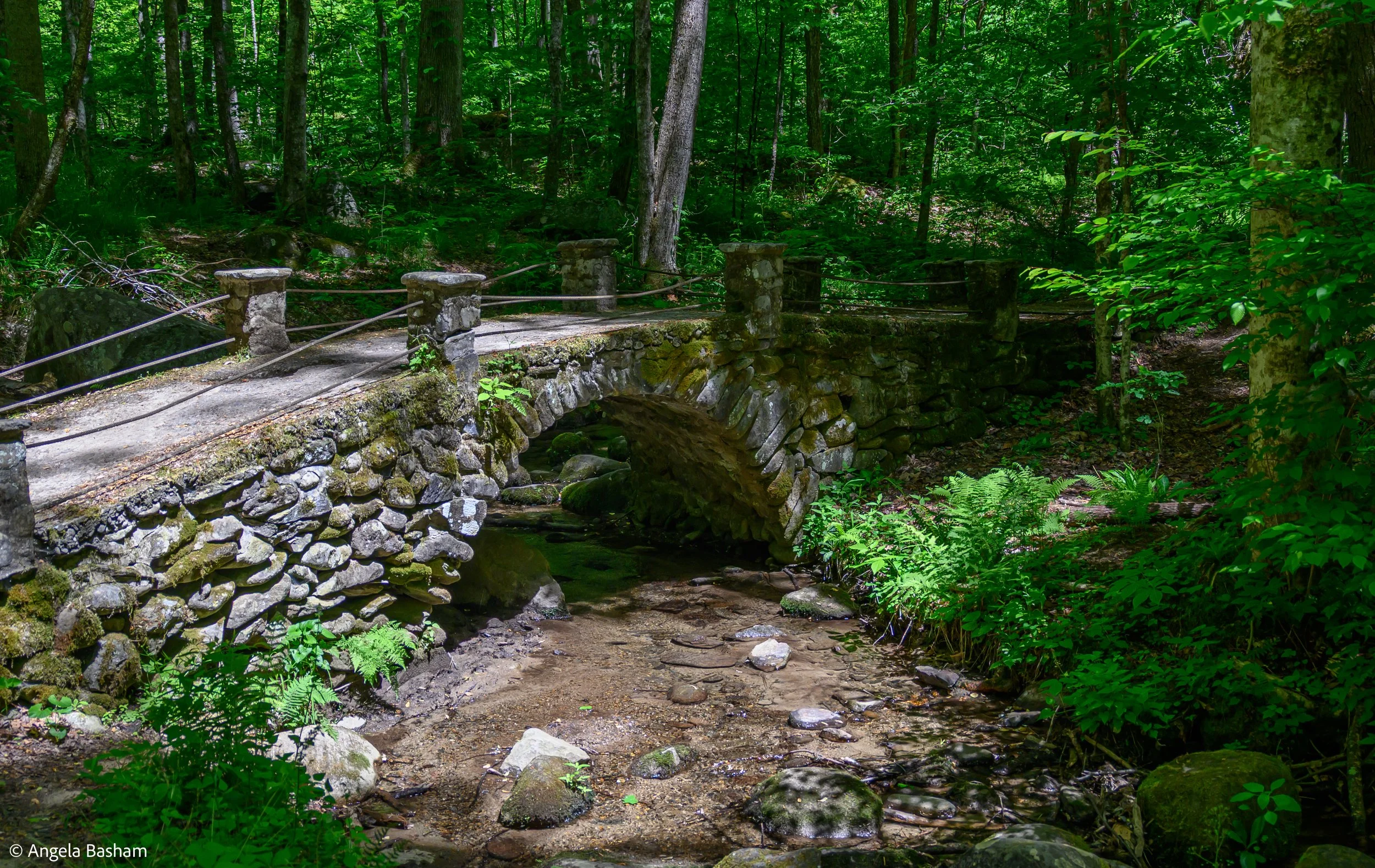SmokeyMountains_May2026-55.jpg