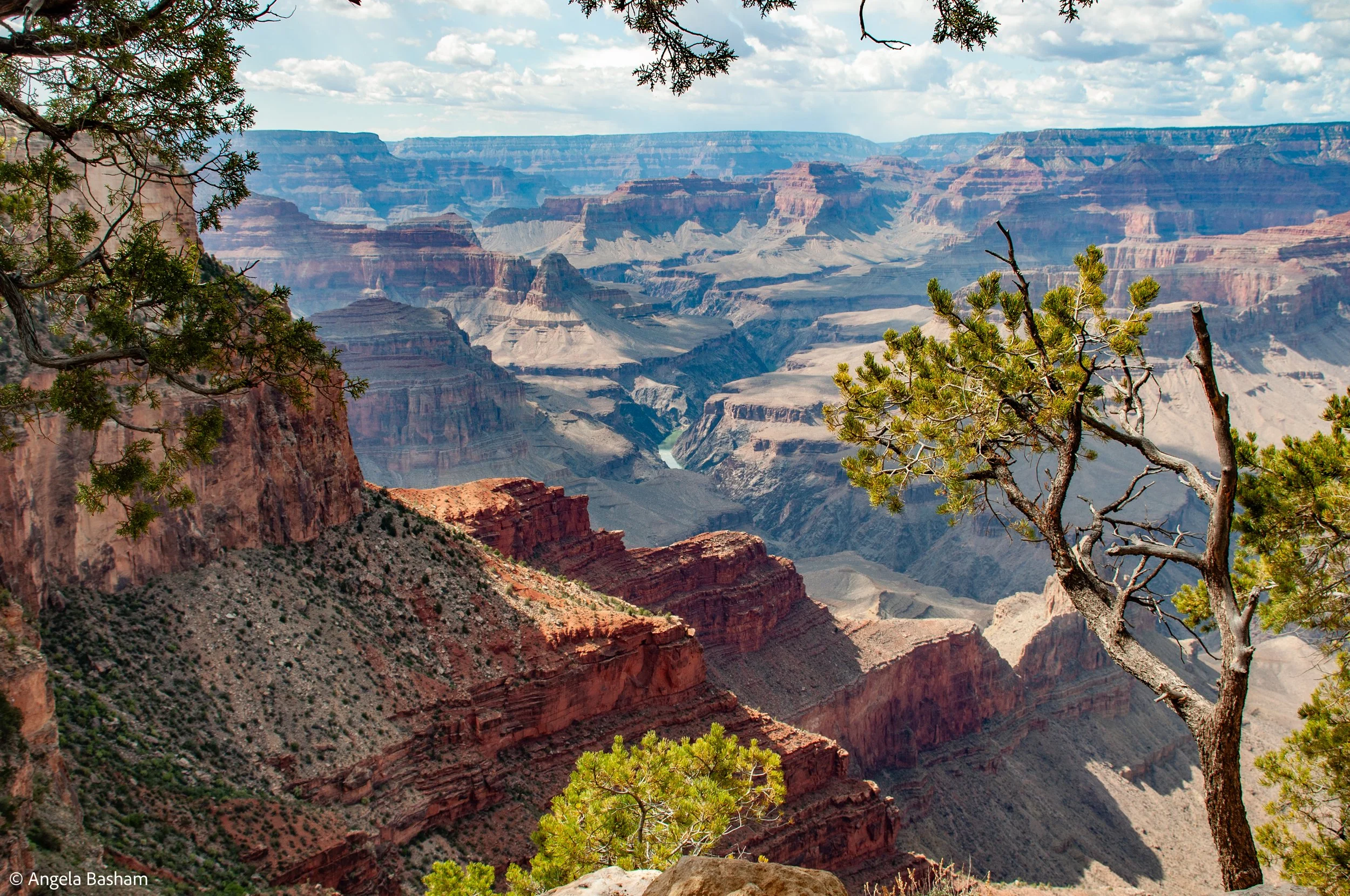 West_2018-33.jpg