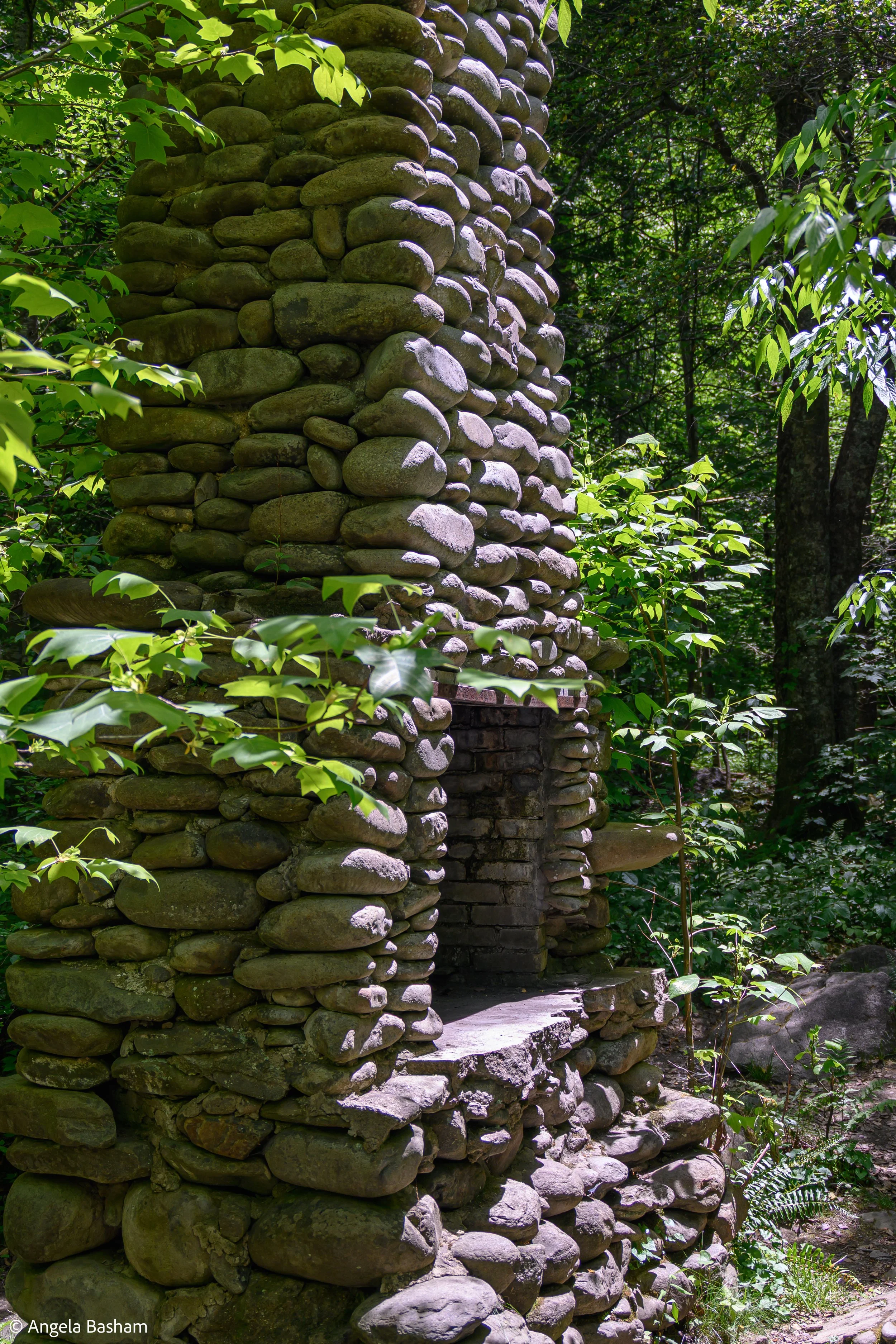 SmokeyMountains_May2026-54.jpg