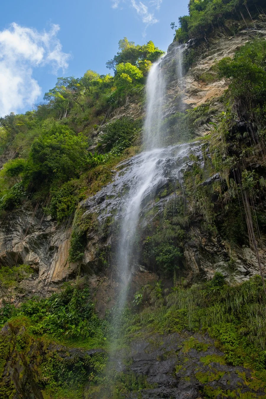 Caribbean_Jan_26-33.jpg
