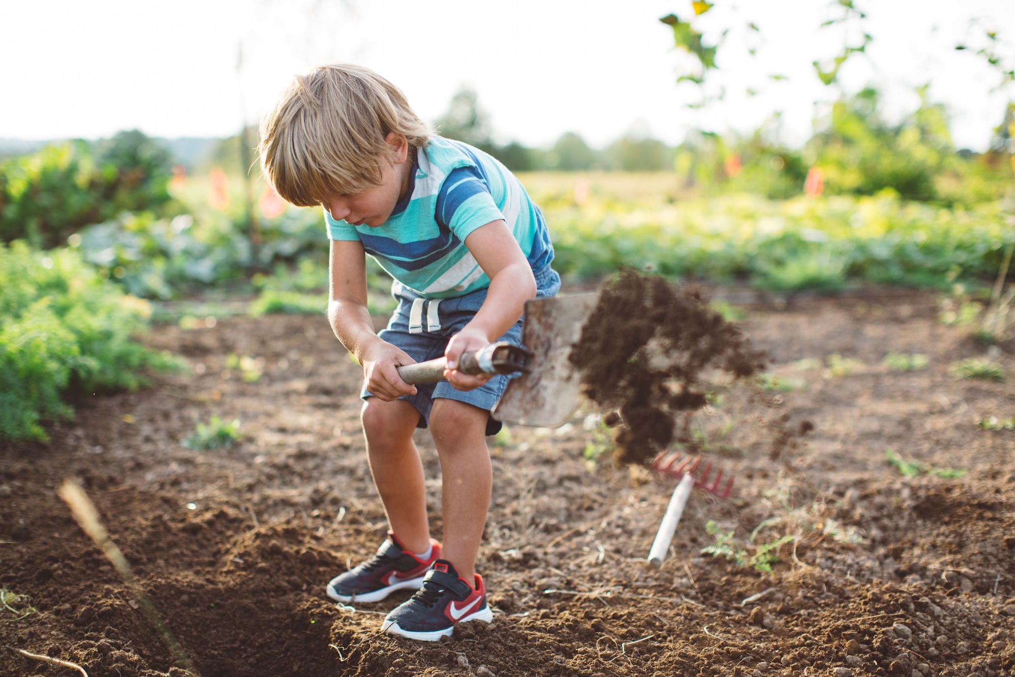Young boy digging in a garden on a sunny day.