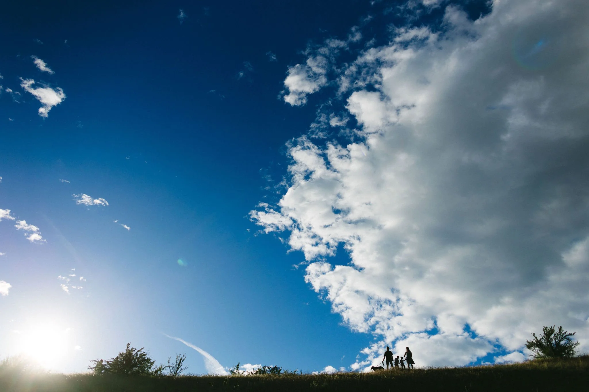 A family of four with a dog standing on a grassy hill in the Boise foothills during a branding photoshoot, under a blue sky with scattered clouds and the sun shining from the lower left corner.