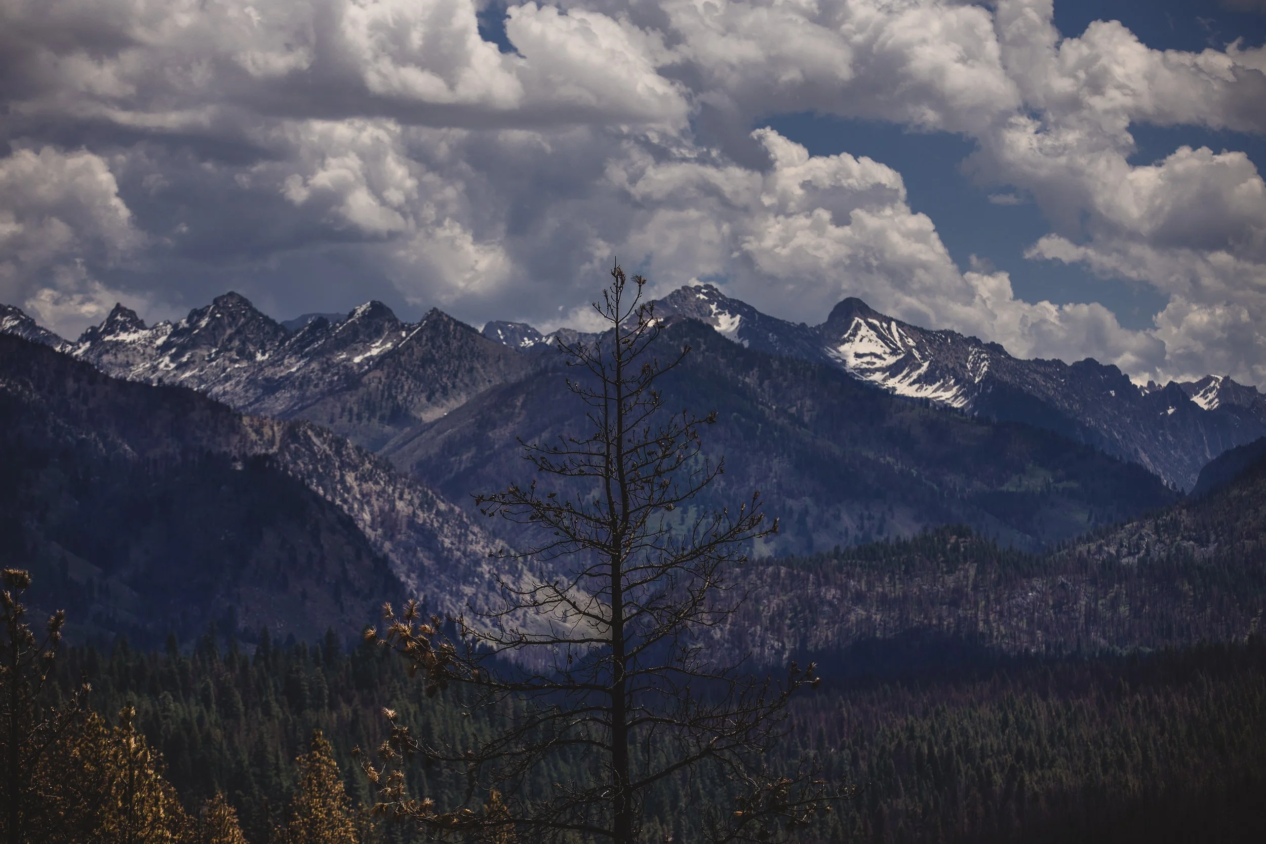 Branding photograph of the sawtooth mountains with snow on them, showing the wapiti fire from grand jean.