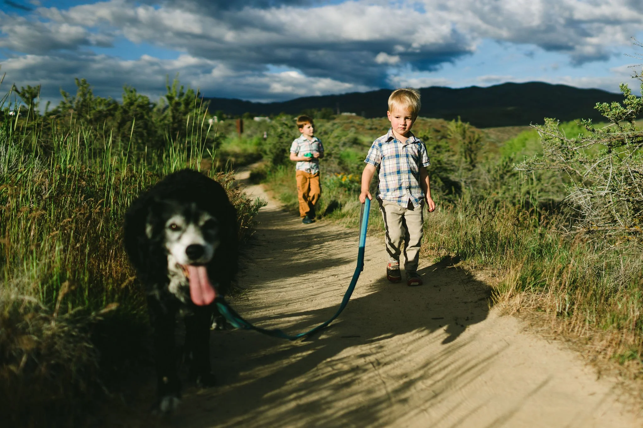 Two young boys walking on a dirt trail in a grassy natural landscape in the Boise Foothills with a black and white dog on a leash during a branding photoshoot. The sky is partly cloudy and there are mountains in the background.
