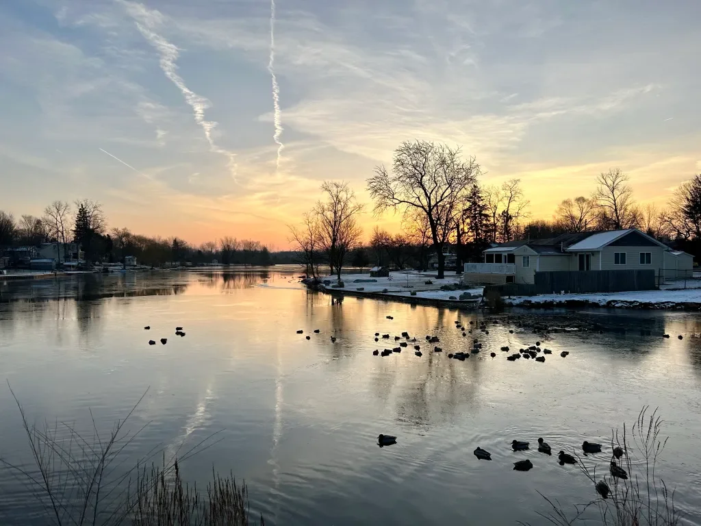 A peaceful winter scene at sunset over a partly frozen river with ducks, leafless trees, houses, and snow on the banks.