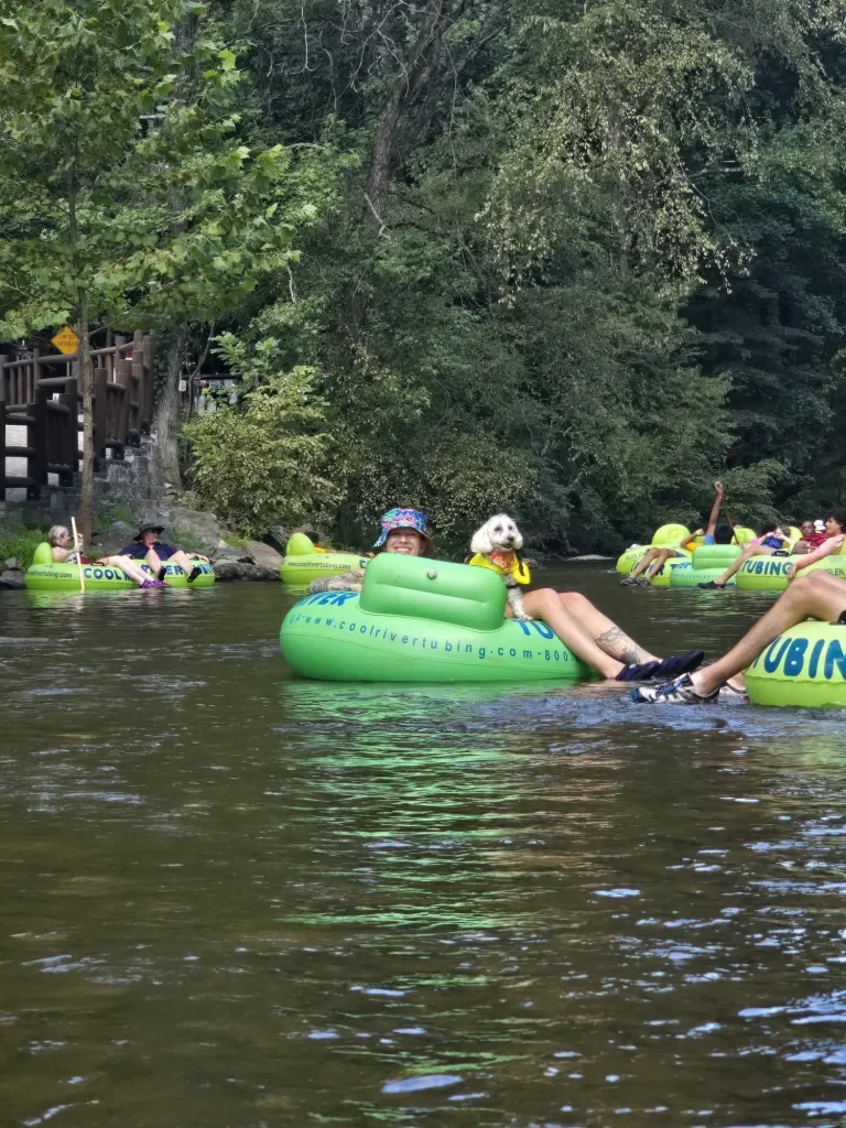 Cate floating down the river with her dog, Linley